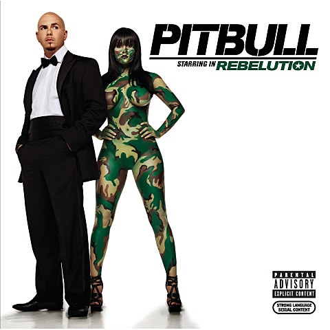 Pitbull Hotel Room Service (Feat.Nicole Scherzin.. 자켓