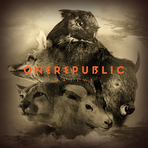 OneRepublic I Lived 자켓