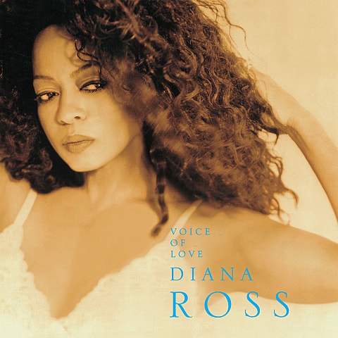 Diana Ross If We Hold On Together 자켓