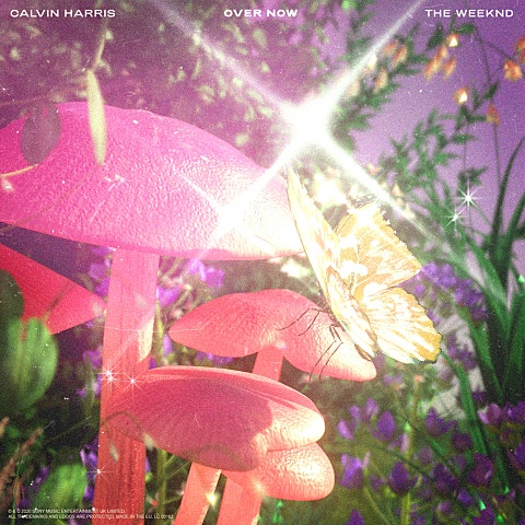 Calvin Harris,T.. Over Now 앨범 자켓