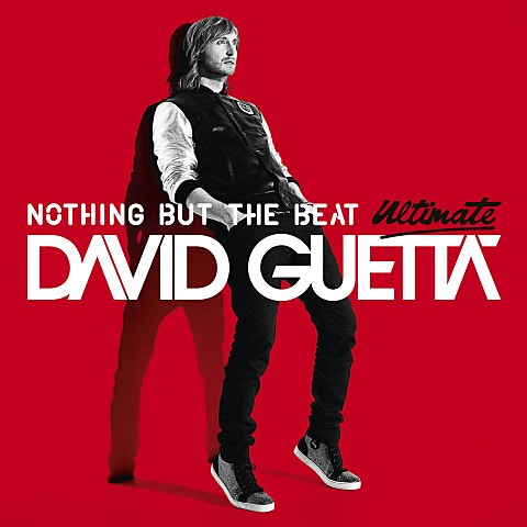 David Guetta Play Hard (Feat.Ne-Yo,Akon) 자켓