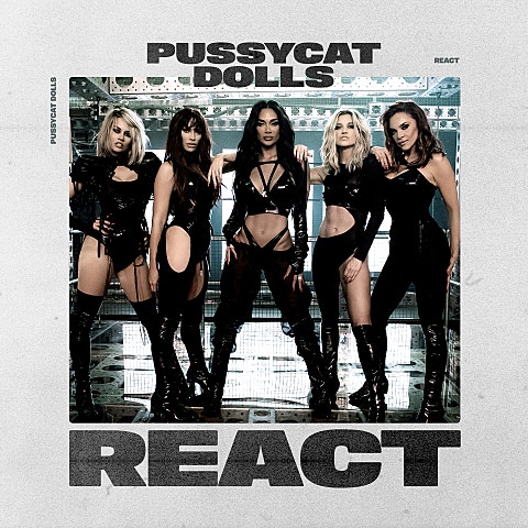 Pussycat Dolls React 자켓