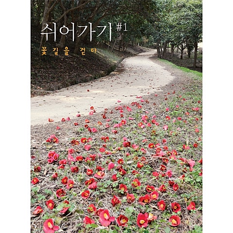 Enigma Return To Innocence 앨범 자켓