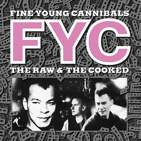 Fine Young Cannibals She Drives Me Crazy 앨범 자켓
