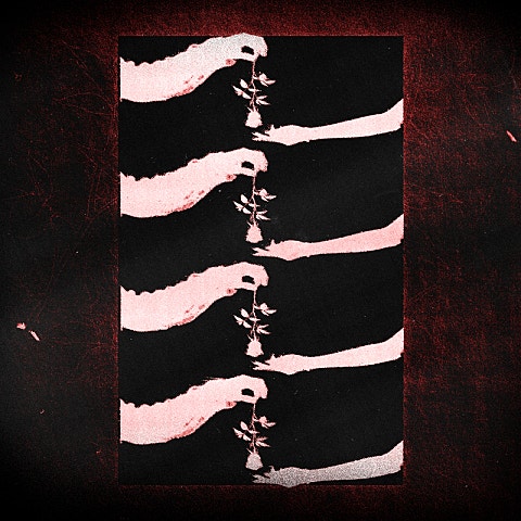 d4vd Sleep Well 앨범 자켓