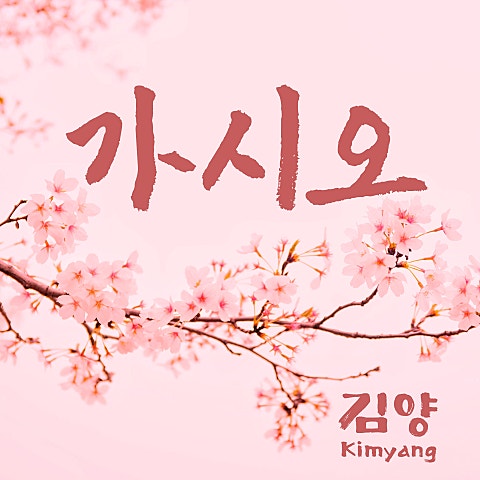 김양 가시오 자켓