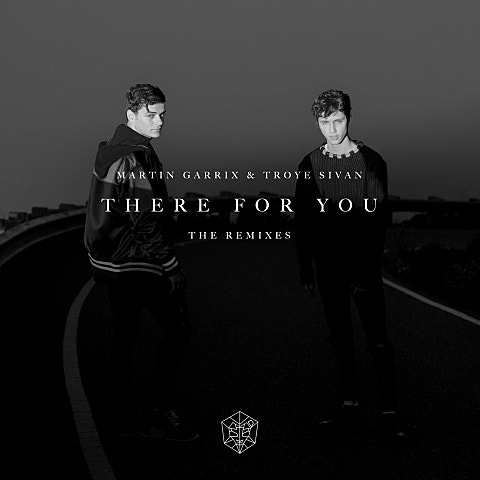 Martin Garrix,Troye Sivan There For You 앨범 자켓