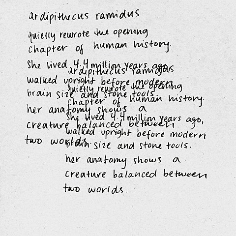 WILLOW Wait a Minute! 앨범 자켓