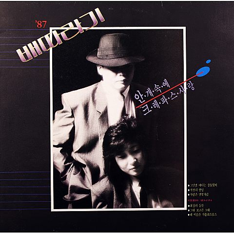 배따라기 내 이름은 가을 코스모스 자켓