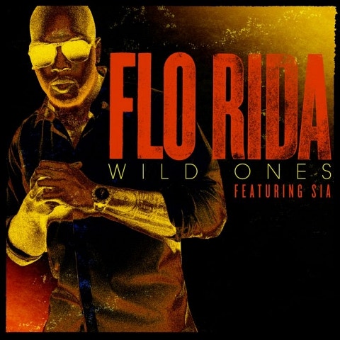 Flo Rida Wild Ones (Feat.Sia) 앨범 자켓
