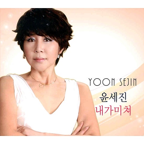 윤세진 내가 미쳐 자켓