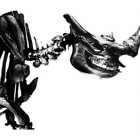 Mr.Children ニシエヒガシエ (ドラマ 자켓