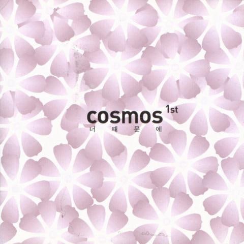 COSMOS 너 때문에 자켓
