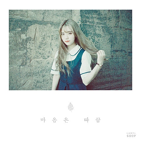 노르웨이 숲 너는, 꽃 자켓