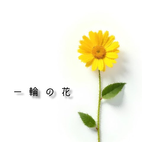 HIGH and MIGHTY COLOR 一輪の花 ( 앨범 자켓