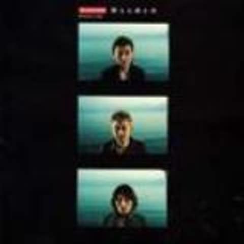 Porno Graffitti アゲハ蝶 자켓