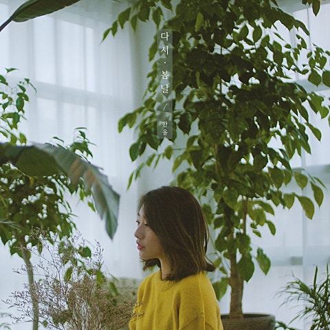 한올 다시 자켓