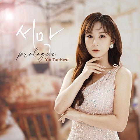 윤태화 다시 또 자켓