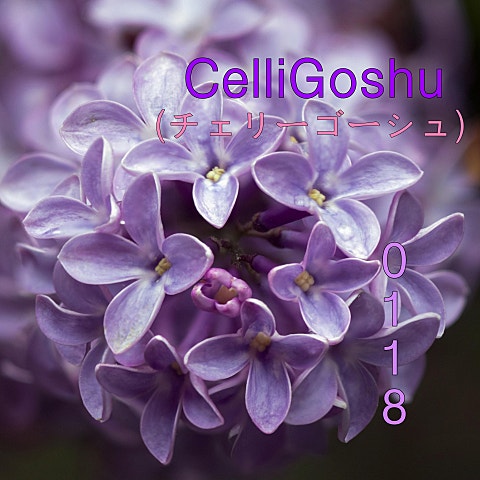 Mrs. GREEN APPLE ライラック ("忘却バッテリー"OP) 자켓