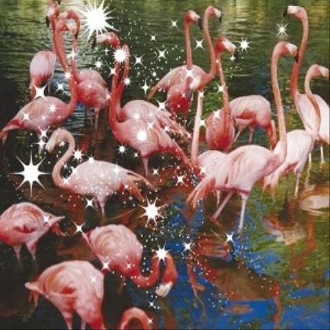 L'Arc~en~Ciel 瞳の住人 자켓