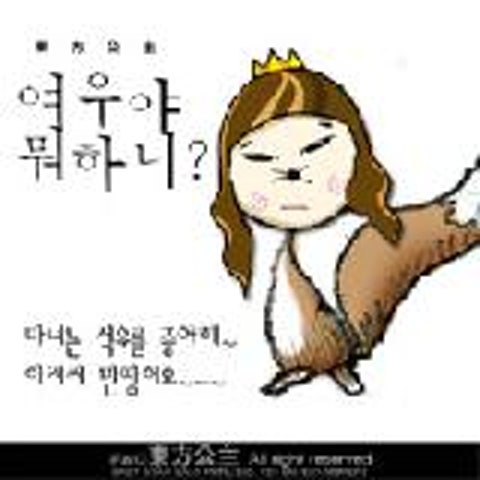 신화 다이밥송(롯데리아 CF) 자켓