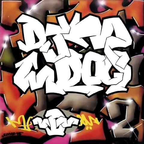 DJ.DOC 다이어트 자켓