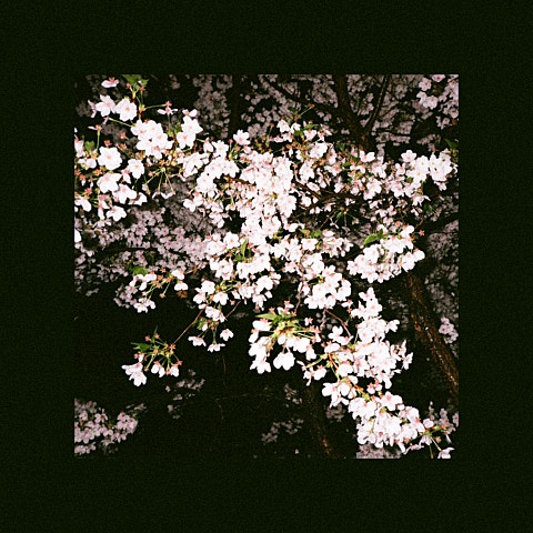 소울라이츠 다정하지 말아요 자켓