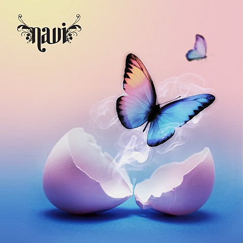 나비 달라졌어 앨범 자켓