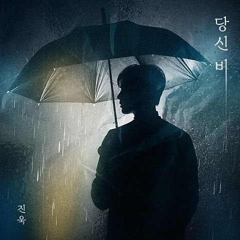 진욱 당신 비 자켓