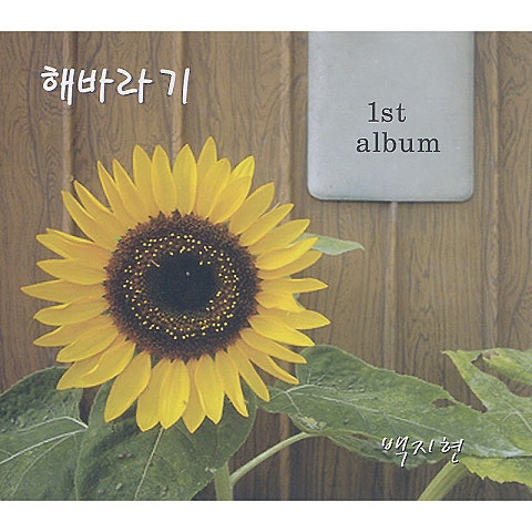 백지현 대천에서 만나요 자켓