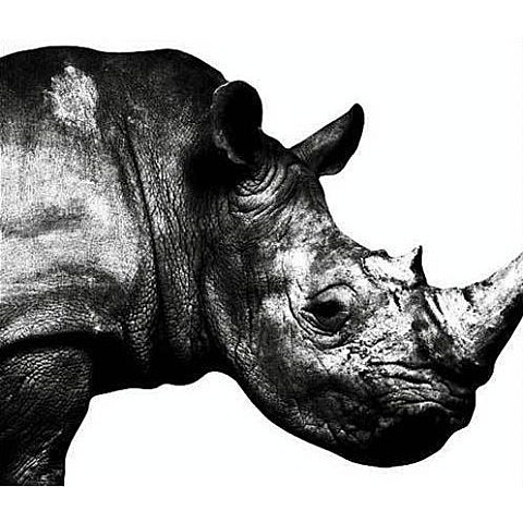 Mr.Children Tomorrow never knows (ドラマ 앨범 자켓