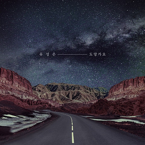 유성은 도망가요 자켓