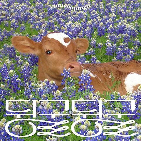 선우정아 뒹굴뒹굴 (Idle Idle) 자켓