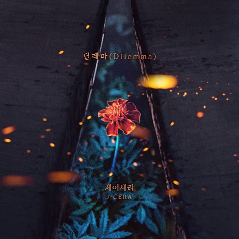 제이세라 딜레마 (Dilemma) 자켓