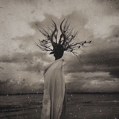 쏜애플(Thornapple) 로마네스크 자켓