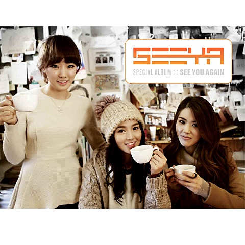 씨야 미친 사랑의 노래 ("투명인간 최장수") 자켓