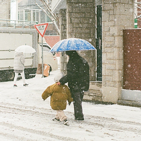 타이푼 사랑을 주세요(만화 "개구리중사 케로로") 자켓