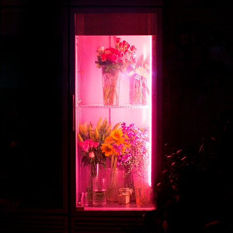 그대의 꿈결 (Feat.김사월)