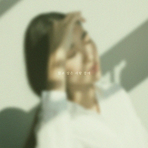 그네, 전수한 많고 많은 사람 중에 자켓