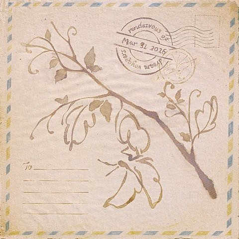 이라온 발신인 자켓