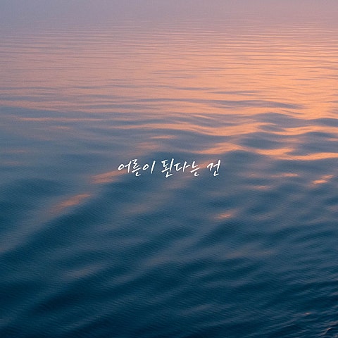 어른이 된다는 건