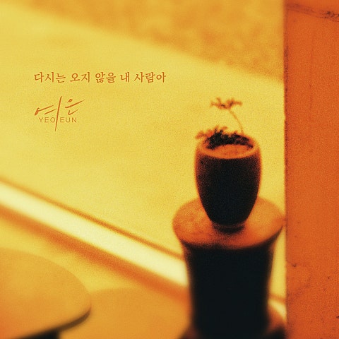 여은 다시는 오지 않을 내 사람아 자켓