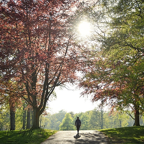 한경일 봄날 오후 자켓