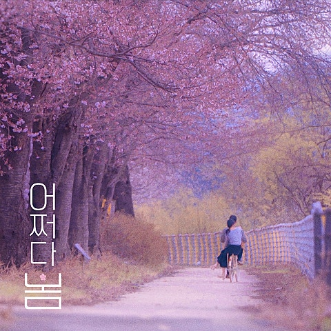 린넨(LINEN) 어쩌다 봄 앨범 자켓