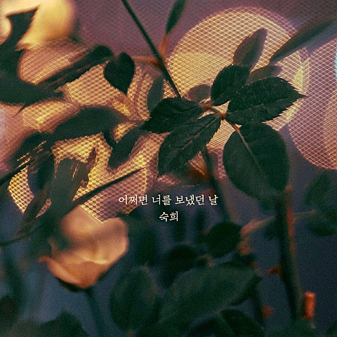 숙희 어쩌면 너를 보냈던 날 자켓