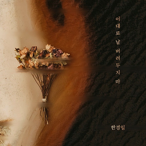 한경일 이대로 날 버려두지 마 자켓