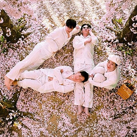 포포 1인칭 벚꽃 시점 자켓