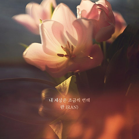 란(RAN) 내 세상은 조금씩 변해 자켓