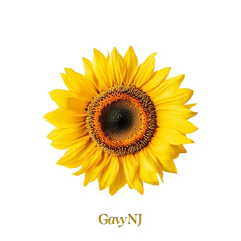 가비엔제이 The Gavy NJ : II 자켓