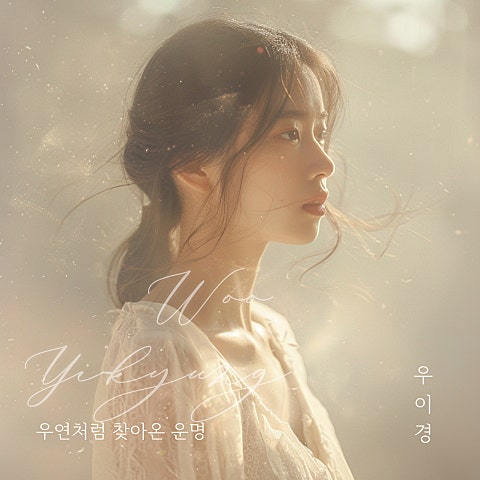 우이경 우연처럼 찾아온 운명 자켓